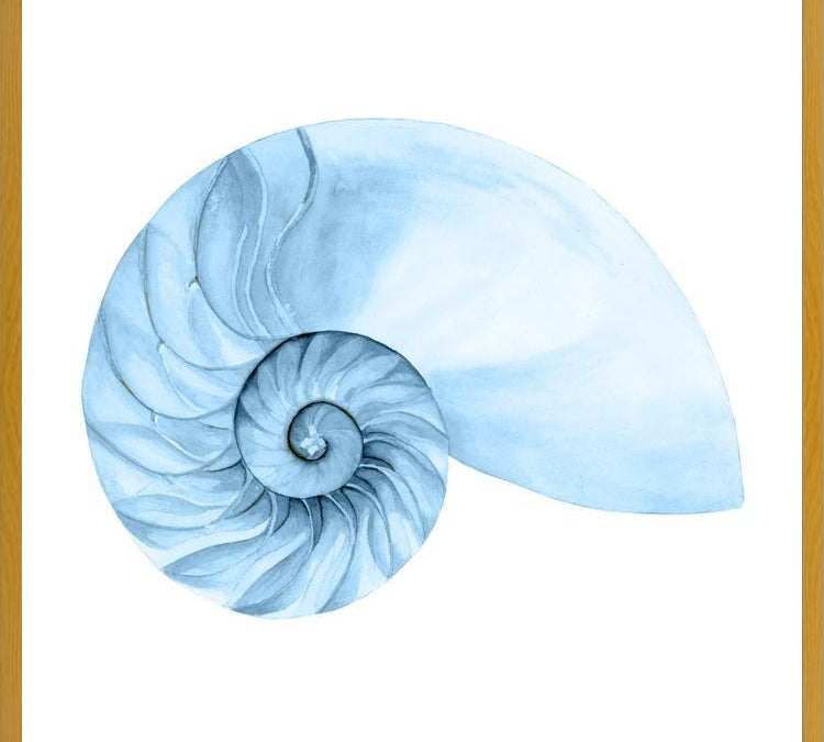 Cuadro Concha azul 4