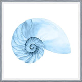 Cuadro Concha azul 4