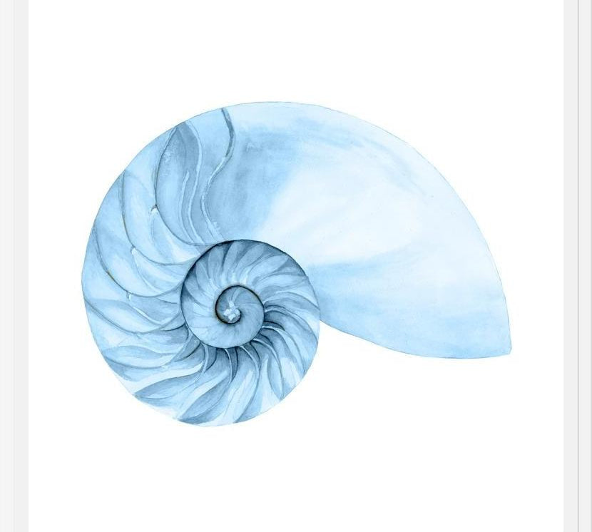 Cuadro Concha azul 4