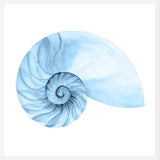 Cuadro Concha azul 4