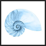 Cuadro Concha azul 4
