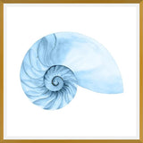 Cuadro Concha azul 4