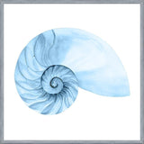 Cuadro Concha azul 4