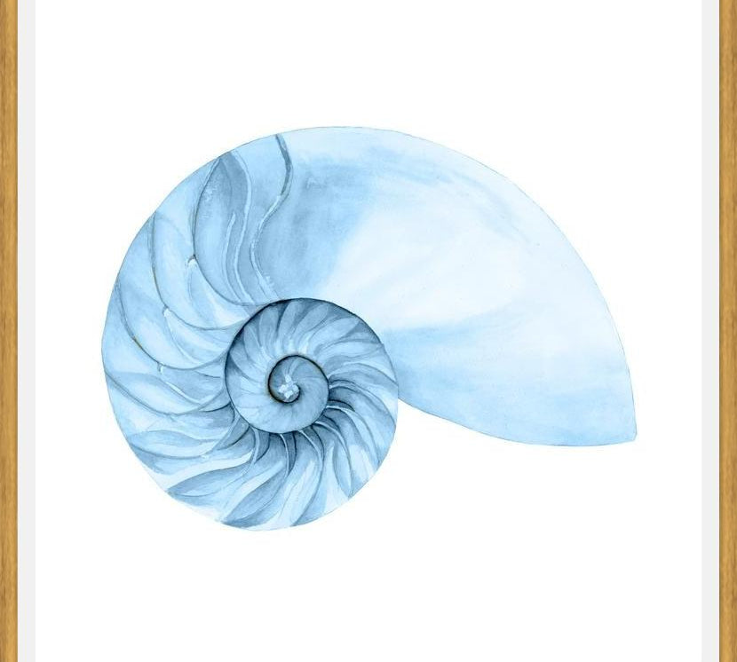 Cuadro Concha azul 4