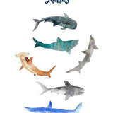 Canvas Cuadro Tiburones