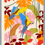 Cuadro loros tropicales