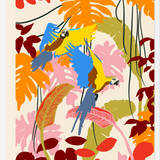 Cuadro loros tropicales