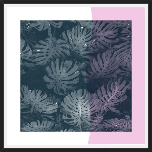 Cuadro Tropical Leaves Pink