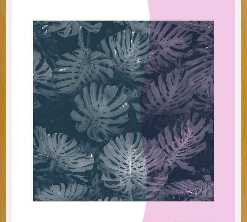 Cuadro Tropical Leaves Pink