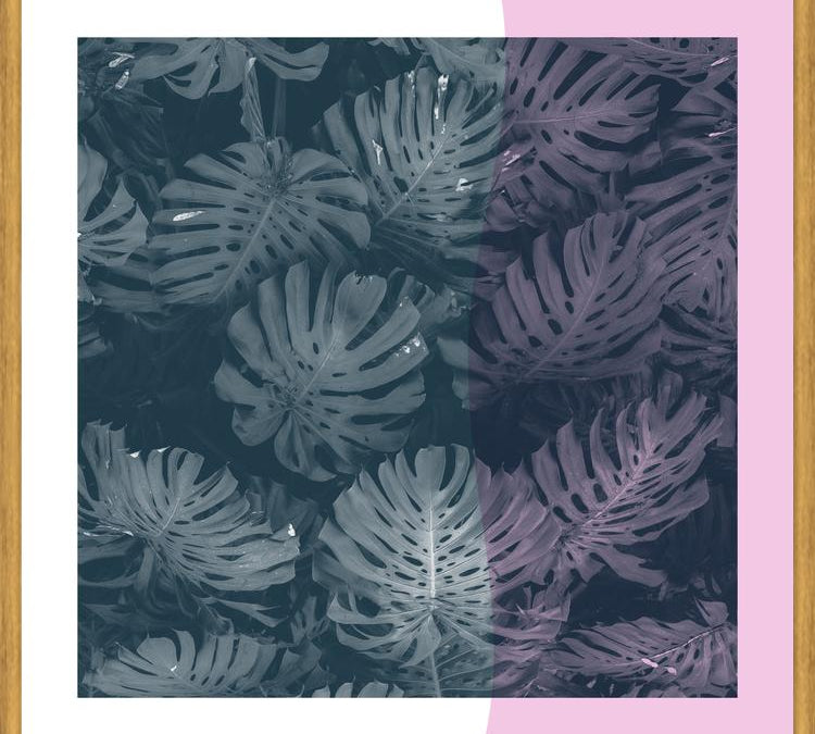 Cuadro Tropical Leaves Pink