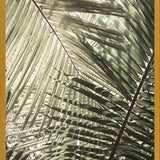 Cuadro Greenery II