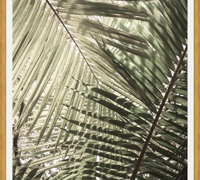 Cuadro Greenery II
