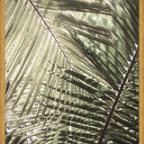 Cuadro Greenery II
