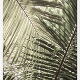Cuadro Greenery II