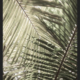 Cuadro Greenery II