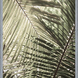 Cuadro Greenery II