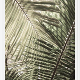 Cuadro Greenery II