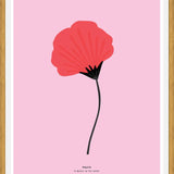 Cuadro Begonia