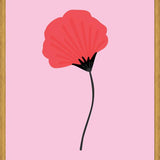 Cuadro Begonia