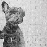 Papel Mural Black Dog