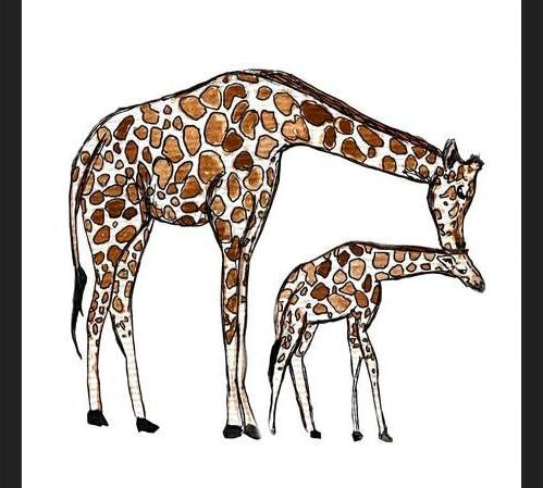 Cuadro Mama Giraffe