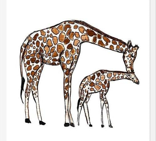 Cuadro Mama Giraffe