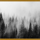 Cuadro The Forest And The Fog
