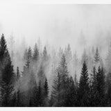 Cuadro The Forest And The Fog