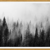 Cuadro The Forest And The Fog