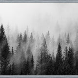 Cuadro The Forest And The Fog