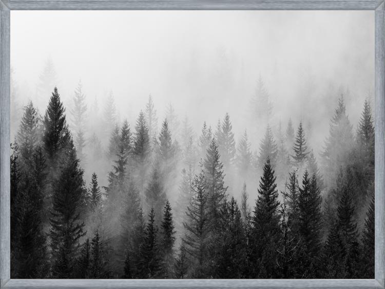 Cuadro The Forest And The Fog