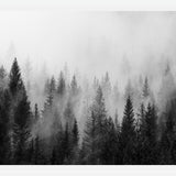Cuadro The Forest And The Fog