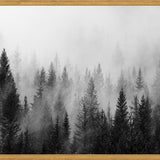Cuadro The Forest And The Fog