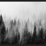 Cuadro The Forest And The Fog
