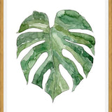 Cuadro Leaf #12
