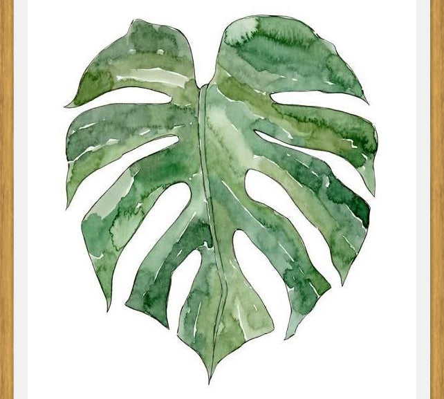 Cuadro Leaf #12