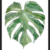 Cuadro Leaf #12