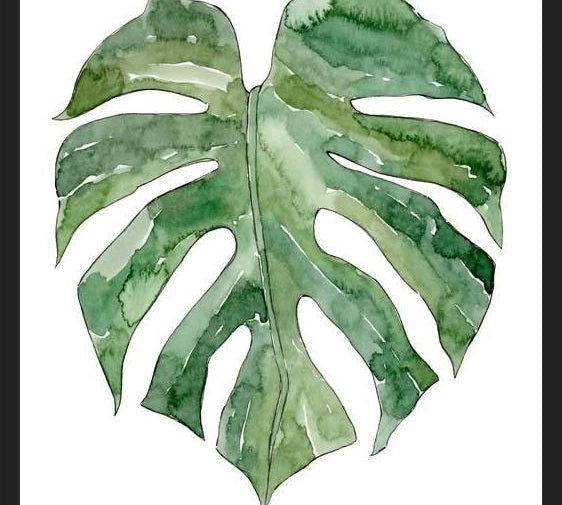 Cuadro Leaf #12