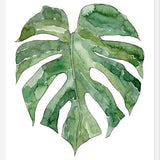 Cuadro Leaf #12