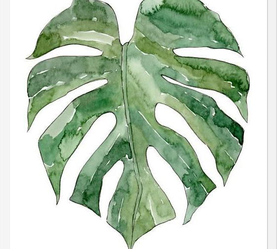 Cuadro Leaf #12