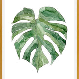 Cuadro Leaf #12
