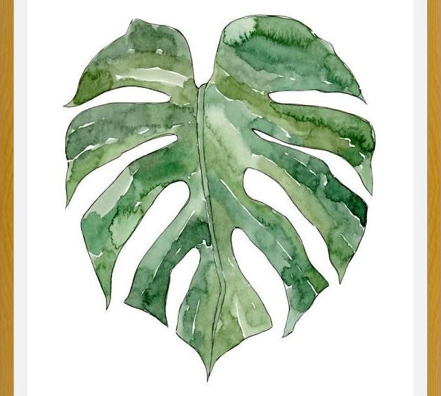 Cuadro Leaf #12