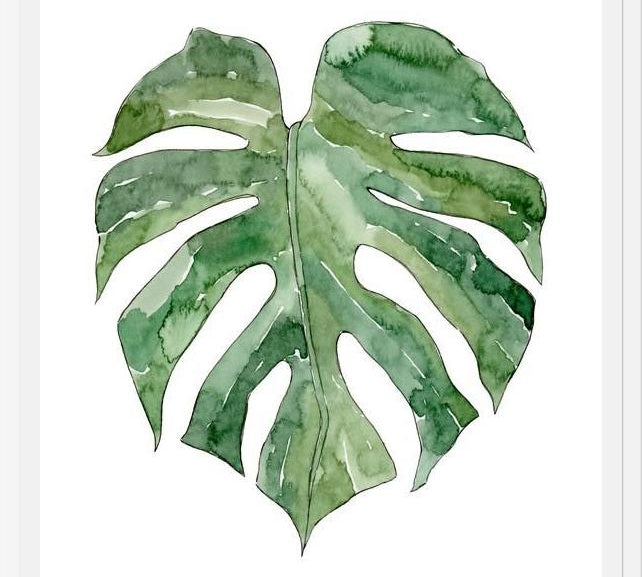 Cuadro Leaf #12