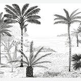 Cuadro Palmeras B&W