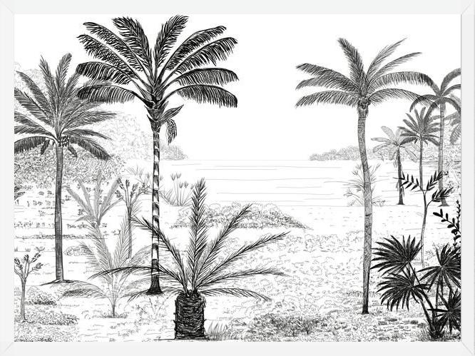Cuadro Palmeras B&W