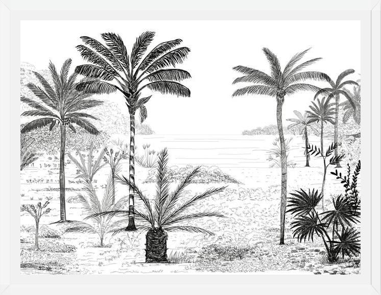 Cuadro Palmeras B&W