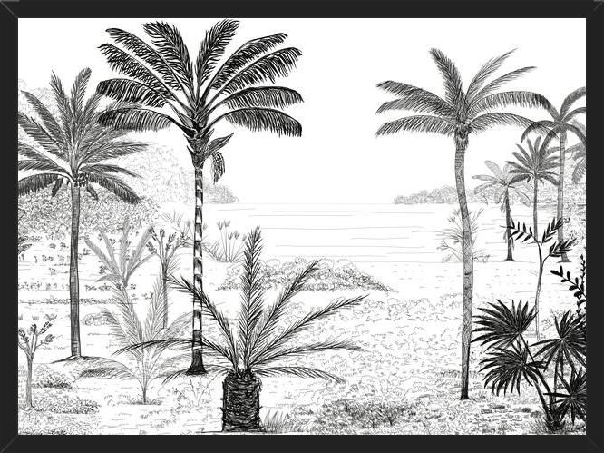 Cuadro Palmeras B&W