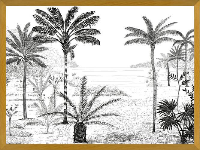 Cuadro Palmeras B&W