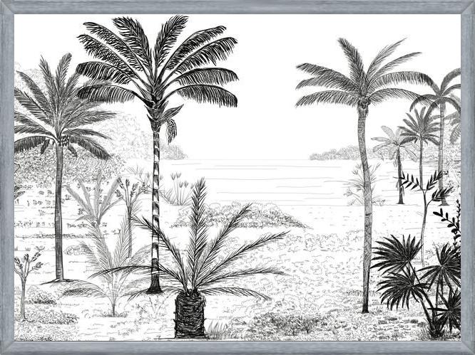 Cuadro Palmeras B&W