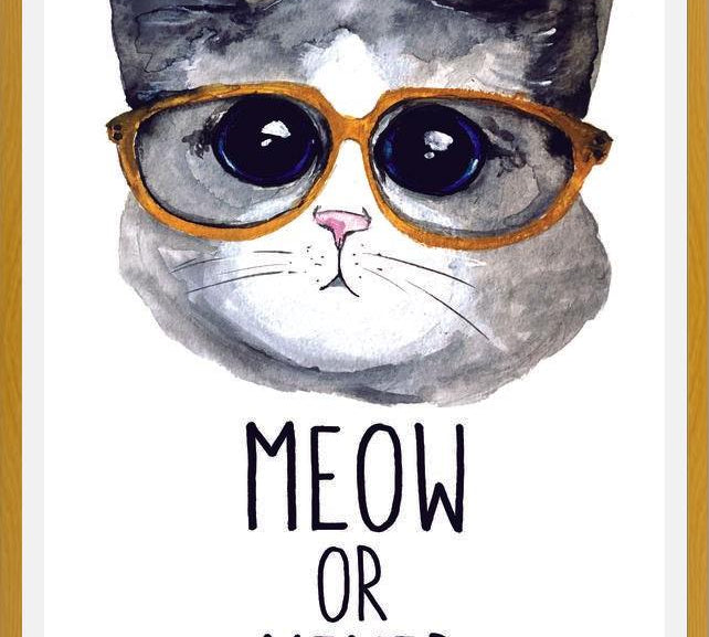 Cuadro Gatito con lentes
